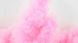 Compte rendu du débat à la Biennale de la danse-Lyon, du 17 septembre 2014